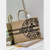 Copy replica CD Book Tote handbags sell Online