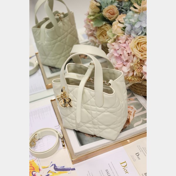 Small/Medium Dior Toujours Vertical Tote Bag